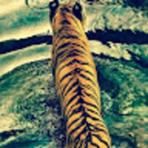 Meet your Posher, Tarrah